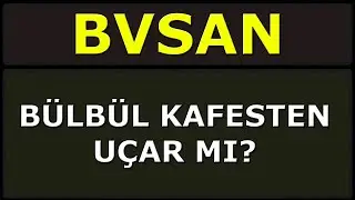 BVSAN - Bülbüloğlu Vinç Hisse Yorum Analiz