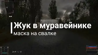 Жук в муравейнике , маска на свалке. Золотой Шар. S.T.A.L.K.E.R.