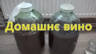 Вино зі Слив, Домашнє Вино, вино из сливы,домашнее вино,рецепт вина,сливовое вино,як робити вино