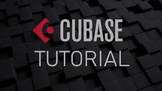 🎚️ How To Record Cubase Audio With OBS