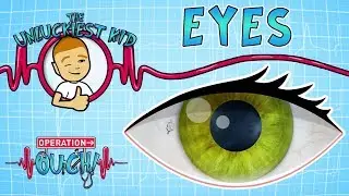 Science for kids | Body Parts - EYES | Experiments for kids | Operation Ouch