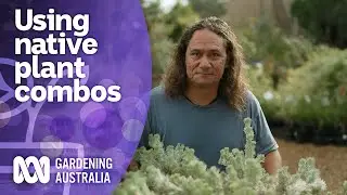 Combining native varieties in your garden design | Australian native plants | Gardening Australia