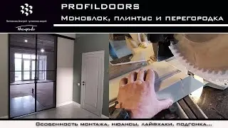 Профильдорс моноблоки + перегородка + плинтуса + .... (Хороший объект).