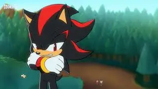 Sonic and Knuckles get rid of Shadow