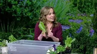 Spring Gardening Tips With Amy Brightfield