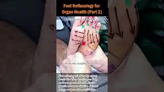 Foot Reflexology for Organ Health (Part 2)