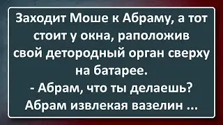 Абрам Прилепил Хозяйство к Батарее! Сборник Изумрудных Анекдотов №156