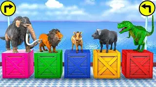 Wild Animals Play Obstacle Game With Gorilla, Cow, zombie T Rex , buffalo, Mammoth Elephent,lion