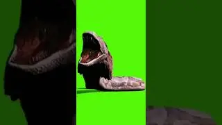 black cobra Dragon song green screen #cobra #shorts