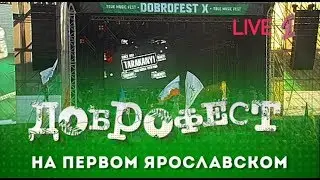 Тараканы! - Live Доброфест - 2019 (Первый Ярославский)