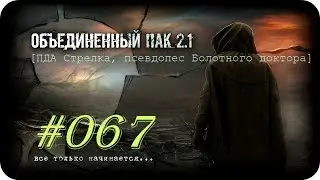 Народная Солянка + Объединенный Пак 2.1[НС + ОП 2.1] #067 [ПДА Стрелка, псевдопес Болотного доктора]