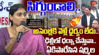 సిగ్గుండాలి..🔥| YS Sharmila Strong Counter To YS Jagan | AP Assembly | YCP | AP News | Tone News