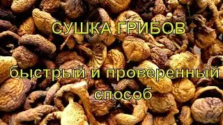 КАК СУШИТЬ ГРИБЫ. КАК ХРАНИТЬ СУШЕНЫЕ ГРИБЫ. КАК ЧИСТИТЬ ОПЯТА Правильно