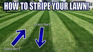 How to get Perfect Lawn Stripes with a Push Mower!