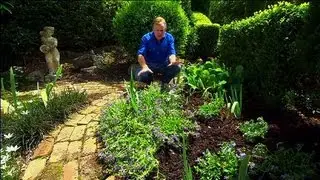 Better Homes and Gardens - Gardening: Great ground covers Ep 18 (31.05.2013)