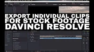 Exporting Individual Clips for Stock Footage - Davinci Resolve