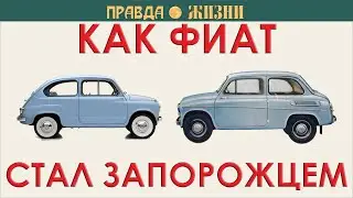 Как Фиат стал Запорожцем