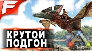 Крутой подгон ➤ ARK PvE Official ➤ Прохождение #2