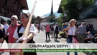 Швейцарияда жыл сайын сиырлар шеруі өтеді