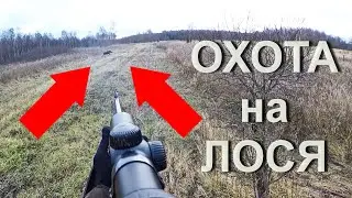 Охота НА ЛОСЯ. Удачная охота, лоси вышли на охотника.