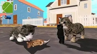 Cat Sim Online Play with Cats - Android Gameplay HD