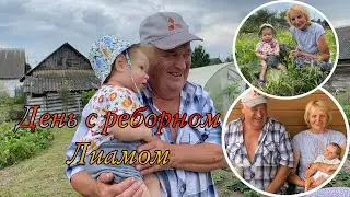 Vlog День с РЕБОРНОМ ЛИАМОМ В ДЕРЕВНЕ ПОДПИСЧИКИ В ВИДЕО ЛИАМ С БАБУШКОЙ И ДЕДУШКОЙ НА ПРОГУЛКЕ