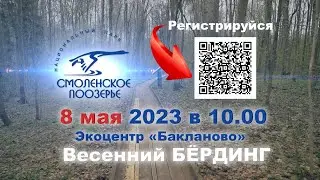 Весенний Бердинг в Смоленском Поозерье