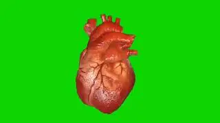 Green Screen Beating Heart