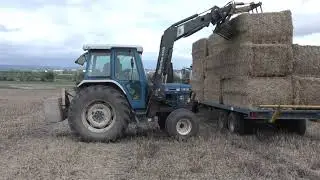 Harvest 2020. Oilseed rape straw