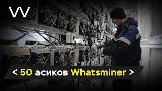 К нам приехали 50 асиков Whatsminer!