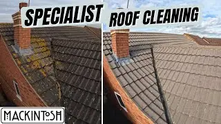 Specialist Roof Cleaning