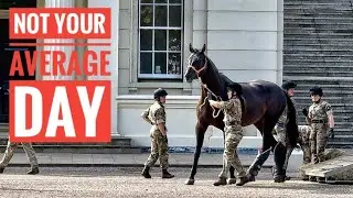 ARMY UNLOADS GIANT HORSES AND TANKS IN CENTRAL LONDON