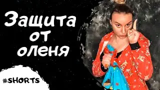 Защита от новогоднего оленя Ч.2 