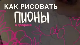 Как рисовать пионы в графике\how to draw peonies