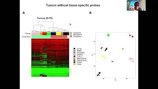 Introduction to Mouse DNA Methylation Microarrays – Manel Esteller