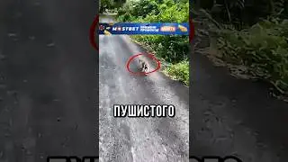 🤣ОБЫЧНЫЙ ДЕНЬ КОТА НА БАЛИ!