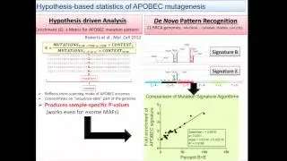 Pan-Cancer Analysis of APOBEC Mutagenesis - Dmitry Gordenin