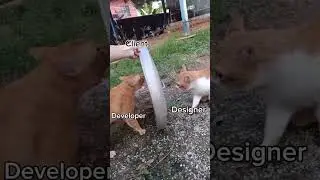 developer vs Designer