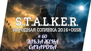 STALKER НС 2016 , ЭЛЬЗА ЖЕНА САХАРОВА,