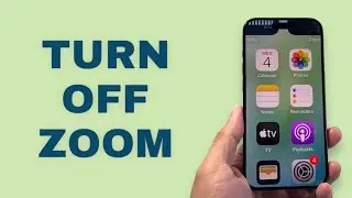 How To Turn Off Zoom on iPhone