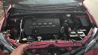 TOYOTA COROLLA - ADDING COOLANT