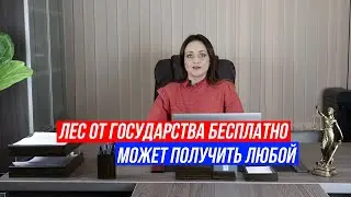 Бесплатный лес от государства на строительство! Не питайте иллюзий