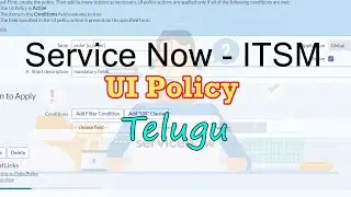 UI policy in service in Telugu