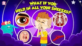 What If You Held in All Your Sneezes? | Is Sneezing Dangerous? | Why Do We Sneeze ? | Dr Binocs Show