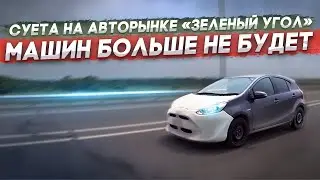 СУЕТА на авторынке «ЗЕЛЕНЫЙ УГОЛ» утиль сбор / Успел купить stepwgn, aqua, fit