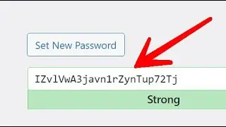 Change Your WordPress Account Password