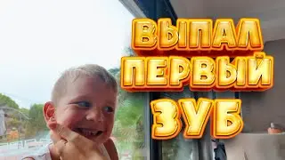 VLOG: ВЫПАЛ ПЕРВЫЙ ЗУБ! СДЕЛАЛИ ПЕРЕСТАНОВКУ! 03.09.24