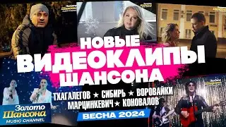 НОВЫЕ ВИДЕОКЛИПЫ ШАНСОНА / 2024