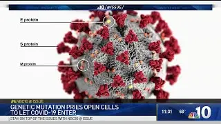 What New Coronavirus Mutation Could Mean Going Forward | NBC10 Philadelphia