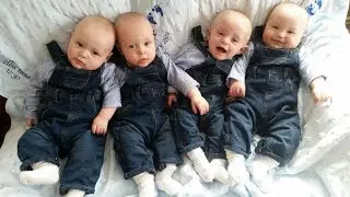 QUADRUPLETS And TRIPLETS - A Cute Triplet Babies And Quadruplets Compilation || Funny Baby Videos